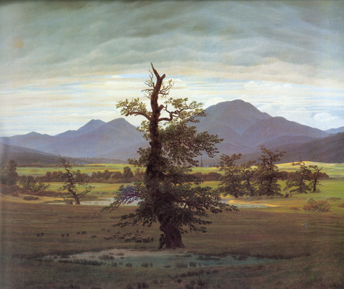 C_D_Friedrich_Landscape_with_Solitary_Tree Poster Canvas Movie Film Print A0 A1