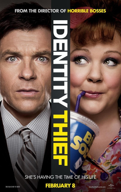 Identity Thief (2013)_3 Poster Canvas Movie Film Print A0 A1 A2 A3 A4 A5 A6 Art