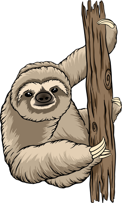 Sloth 21 Poster Canvas Movie Film Print A0 A1 A2 A3 A4 A5 A6 Art Wall Decoration