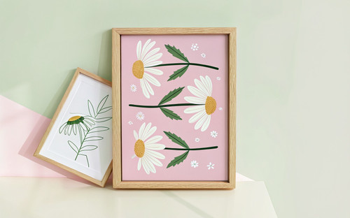 Daisy Pick Trio Pink Botanical Art Print - Unframed A6 A5 A4 A3 A2 A1 Art - Deco