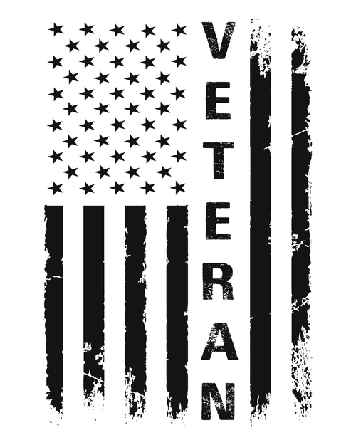 Veteran- Poster Canvas Movie Film Print A0 A1 A2 A3 A4 A5 A6 Art Wall Decoration