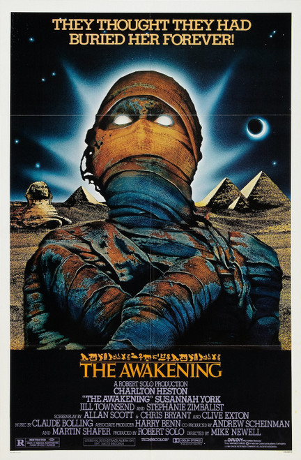 The Awakening (1980)_1 Poster Canvas Movie Film Print A0 A1 A2 A3 A4 A5 A6 Art W