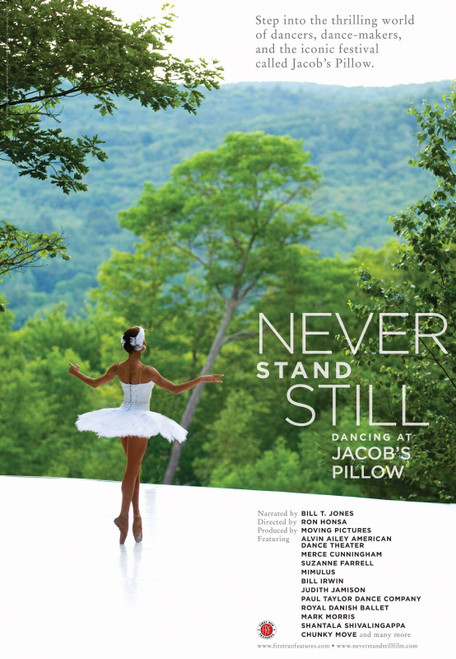 Never Stand Still (2012)_0 Poster Canvas Movie Film Print A0 A1 A2 A3 A4 A5 A6 A