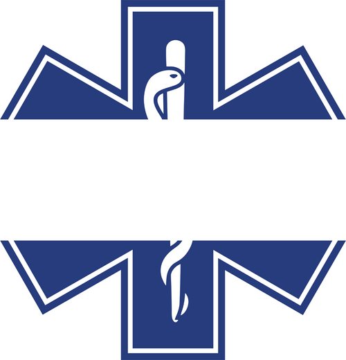 007SC Split_Star_of_Life (2) Funny Poster Design Canvas Motivation Print A0 A1 A