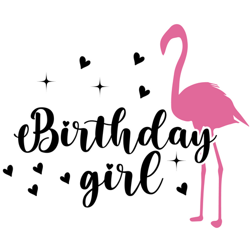 Birthday girl-01 (2) Poster Canvas Movie Film Print A0 A1 A2 A3 A4 A5 A6 Art Wal