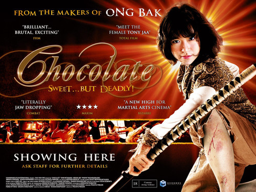 Chocolate (2009)_2 Movie Film Poster Canvas iconic design