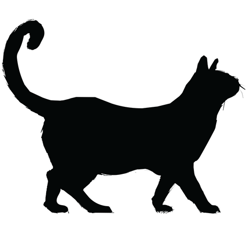 Cat Shillhutte 2-01 (10) Poster Canvas Movie Film Print A0 A1 A2 A3 A4 A5 A6 Art
