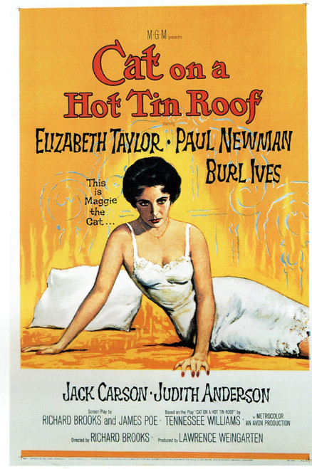 Cat On A Hot Roof- US 1958 Poster Canvas Movie Film Print A0 A1 A2 A3 A4 A5 A6 A