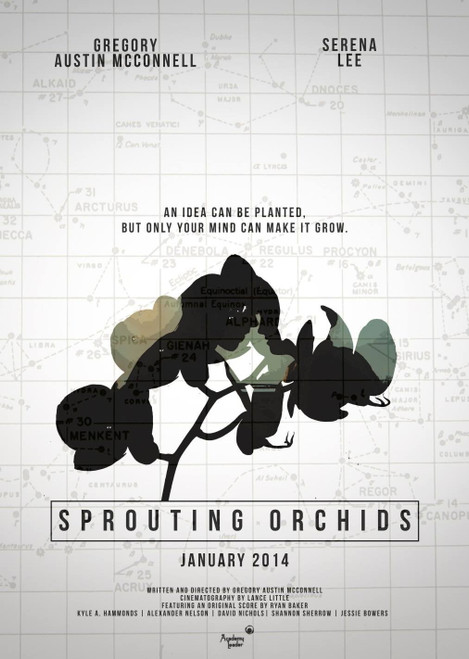 Sprouting Orchids (2014)_0 Poster Canvas Movie Film Print A0 A1 A2 A3 A4 A5 A6 A
