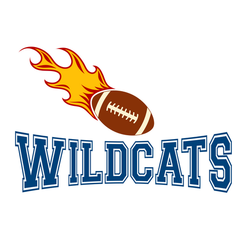Wildcats-Football-Team_3 Poster Canvas Movie Film Print A0 A1 A2 A3 A4 A5 A6 Art