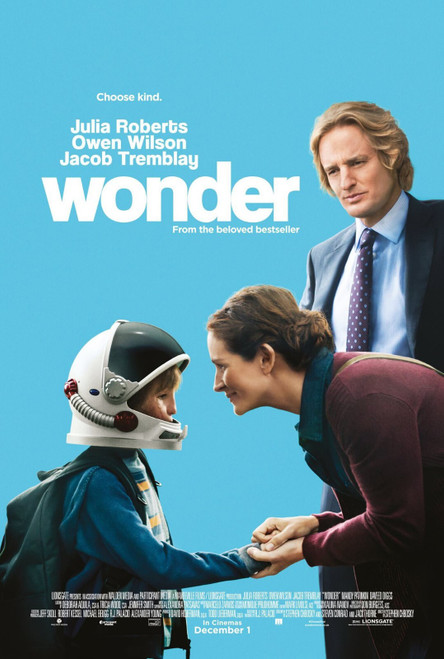 Wonder (2017)_14 Poster Canvas Movie Film Print A0 A1 A2 A3 A4 A5 A6 Art Wall De