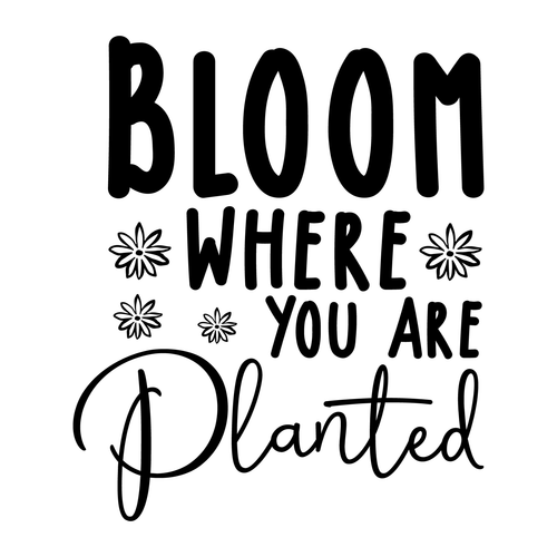 Bloom Where You Are Planted Poster Canvas Movie Film Print A0 A1 A2 A3 A4 A5 A6