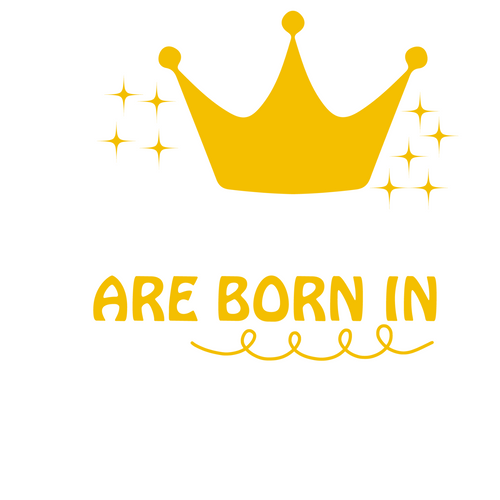 Princess are born in January-01 Funny Creative Poster Canvas Movie Film Print A0