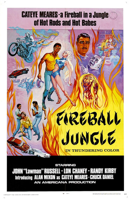Fireball Jungle 01 Poster Canvas Movie Film Print A0 A1 A2 A3 A4 A5 A6 Art Wall