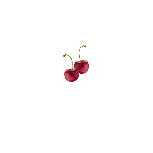 Cherry Fruit Poster Canvas Movie Film Print A0 A1 A2 A3 A4 A5 A6 Art Wall Decora