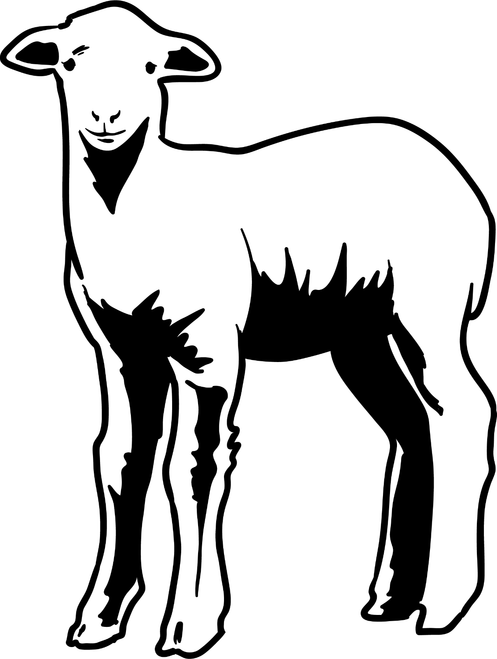 lamb Poster Canvas Movie Film Print A0 A1 A2 A3 A4 A5 A6 Art Wall Decoration