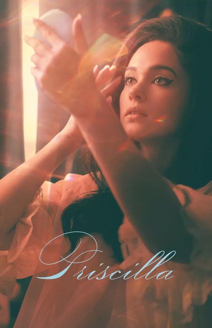 Priscilla Poster Canvas Movie Film Print A0 A1