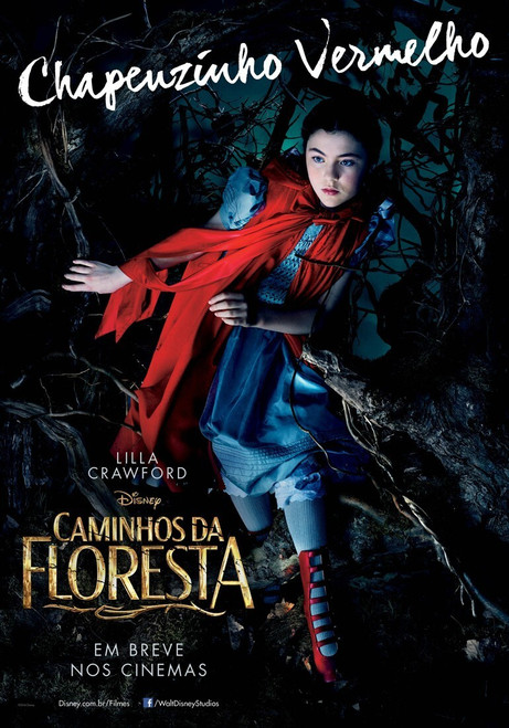Into the Woods (2014)_6 Poster Canvas Movie Film Print A0 A1 A2 A3 A4 A5 A6 Art