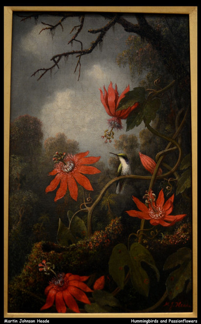 martin-johnson-heade---hummingbirds-and-passionflowers--jpb_29487105332_o(1) Pos