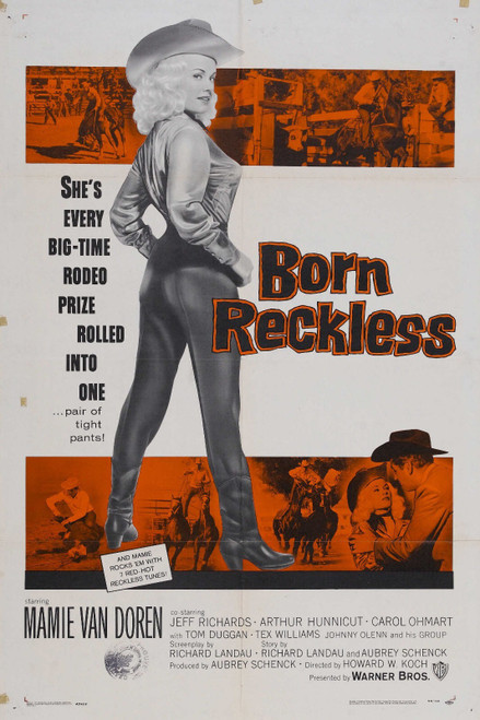 Born Reckless 01 Poster Canvas Movie Film Print A0 A1 A2 A3 A4 A5 A6 Art Wall De
