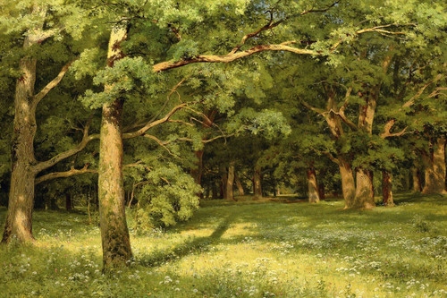 SHISKIN, Ivan Ivanovich - The_Forest_Clearing Poster Canvas Movie Film Print A0
