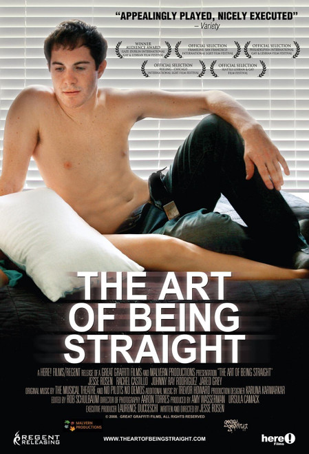 The Art of Being Straight (2009)_0 Poster Canvas Movie Film Print A0 A1 A2 A3 A4