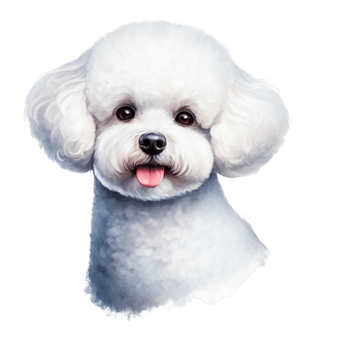 94 Bichon Frise Poster Canvas Movie Film Print A0 A1 A2 A3 A4 A5 A6 Art Wall Dec