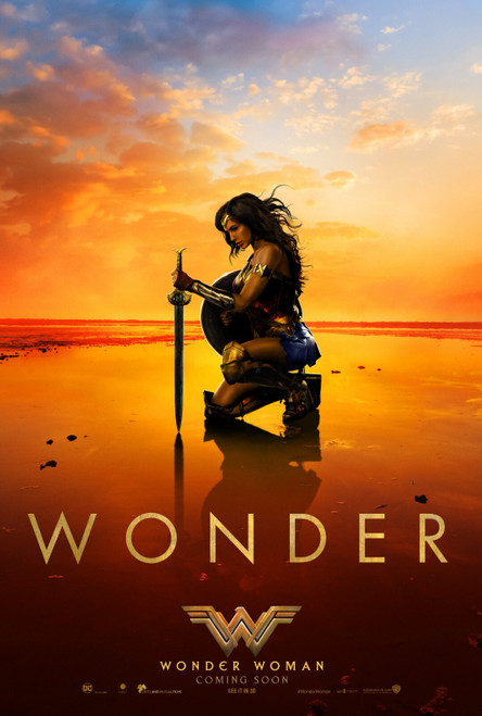 Wonder Woman (2017)_5 Poster Canvas Movie Film Print A0 A1 A2 A3 A4 A5 A6 Art Wa
