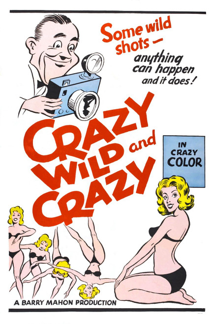 Crazy Wild And Crazy 01 Poster Canvas Print Art Painting Decor Reprint wall A0 A