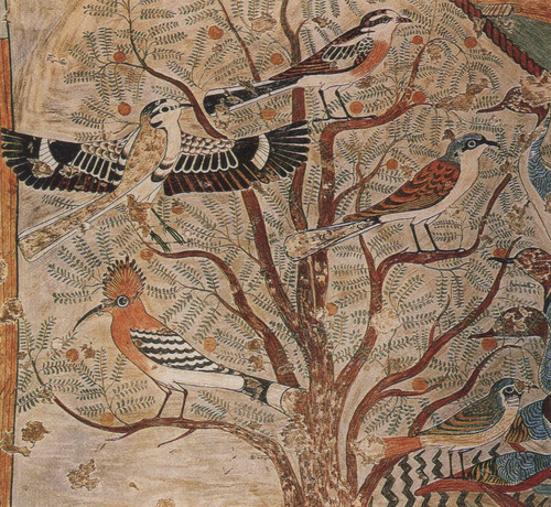 035. birds in a bush of acacia (detail of the mural of the tomb of khumhotep) Ar