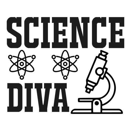 science diva-01 (3) Poster Canvas Movie Film Print A0 A1 A2 A3 A4 A5 A6 Art Wall