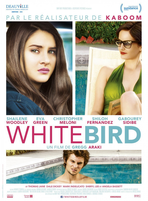 White Bird in a Blizzard (2014)_2 Poster Canvas Movie Film Print A0 A1 A2 A3 A4