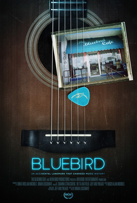 Bluebird (2019)_1 Movie Film Poster Canvas iconic design Bluebird (2019)_1 Movie Film Poster Canvas iconic design