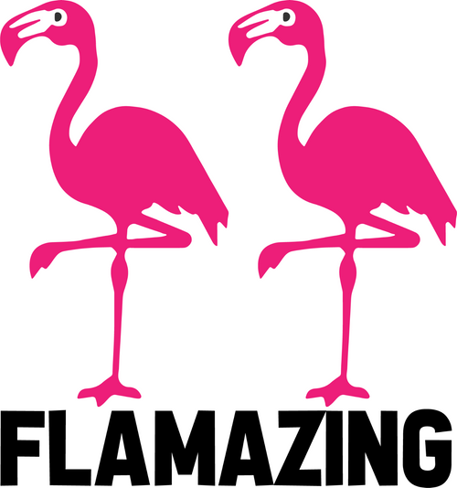 flamazing (2) Poster Canvas Movie Film Print A0 A1 A2 A3 A4 A5 A6 Art Wall Deco