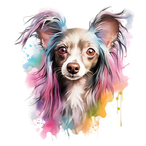 Chinese Crested (8) Poster Canvas Movie Film Print A0 A1 A2 A3 A4 A5 A6 Art Wall