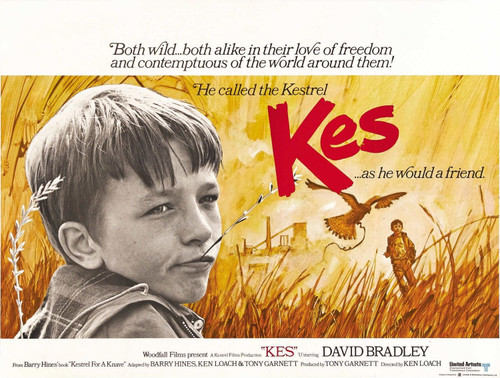 Kes (1970)_2 Poster Canvas Movie Film Print A0 A1 A2 A3 A4 A5 A6 Art Wall Decora