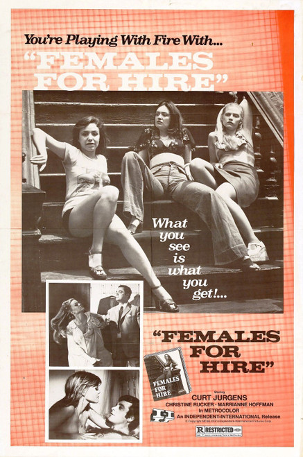 Females For Hire 01 Poster Canvas Movie Film Print A0 A1 A2 A3 A4 A5 A6 Art Wall