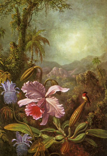 1880 Martin Heade Orchidees et Colobris American painting Poster Canvas Movie Fi