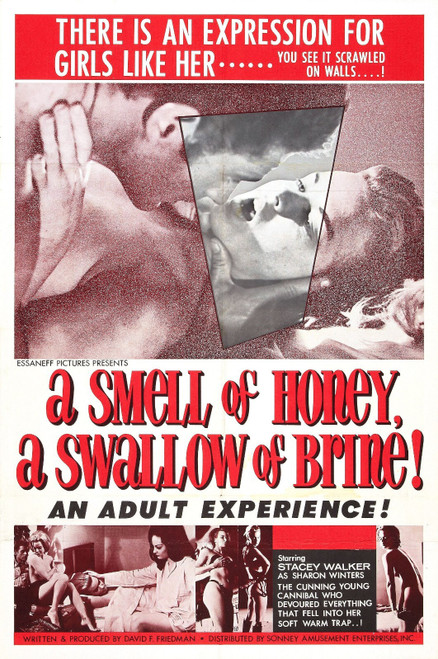 Smell Of Honey Swallow Of Brine 01 Poster Canvas Movie Film Print A0 A1 A2 A3 A4