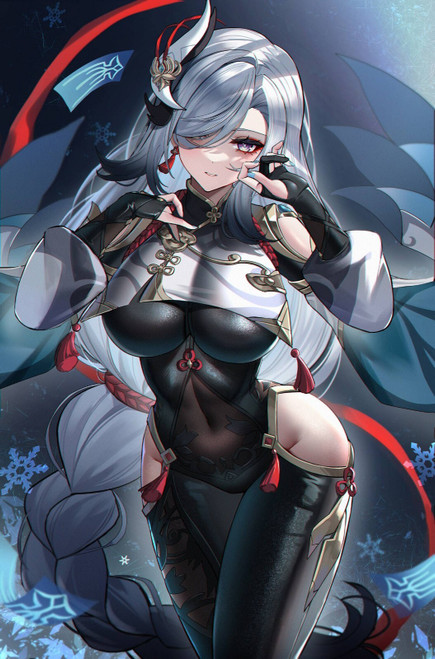 Shenhe Anime E Girl (6) Poster Canvas Movie Film Print A0 A1 A2 A3 A4 A5 A6 Art
