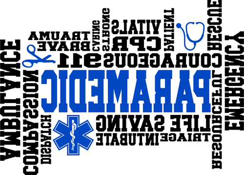 002SC Paramedic Word Art mirrored (2) Funny Poster Design Canvas Motivation Prin