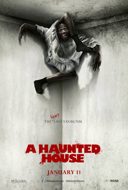 A Haunted House (2013)_3 Movie Film Poster Canvas iconic design