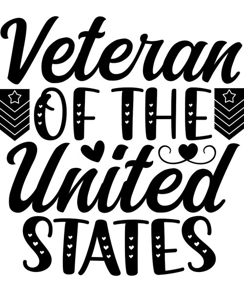 Veteran of the united states-01 (2) Poster Canvas Movie Film Print A0 A1 A2 A3 A
