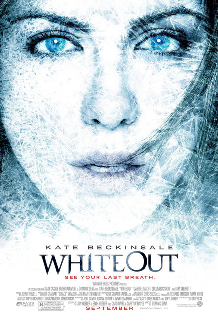 Whiteout (2009)_3 Poster Canvas Movie Film Print A0 A1 A2 A3 A4 A5 A6 Art Wall D