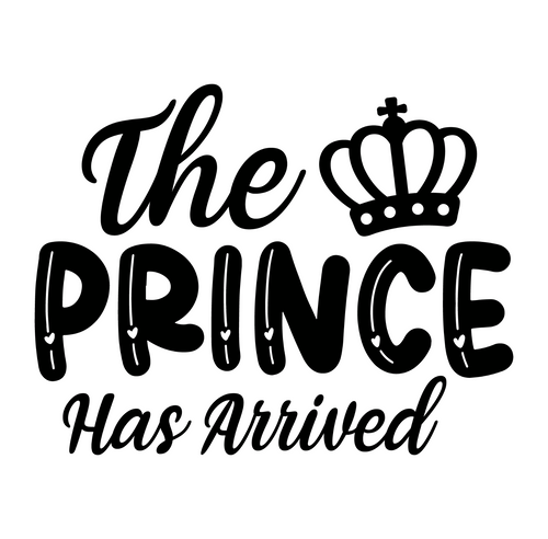 The Prince Has Arrived-01 (4) Poster Canvas Movie Film Print A0 A1 A2 A3 A4 A5 A