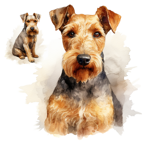Welsh Terrier (4) Poster Canvas Movie Film Print A0 A1 A2 A3 A4 A5 A6 Art Wall D