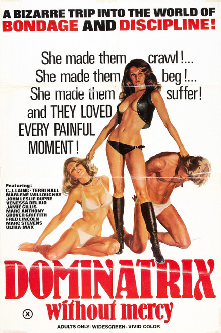 Dominatrix Without Mercy 01 Art Gallery Poster Canvas Print Wall Decoration A0 A