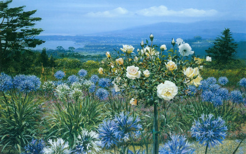 Peter Ellenshaw - The Artists Garden 1987 Poster Canvas Movie Film Print A0 A1 A