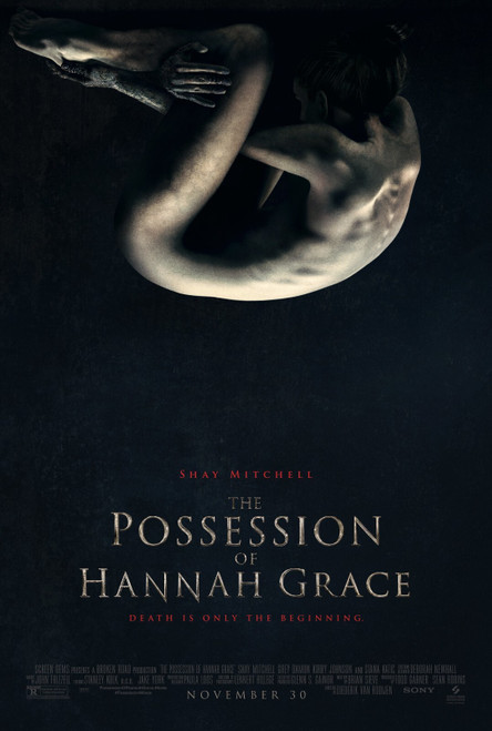 The Possession of Hannah Grace (2018)_1 Poster Canvas Movie Film Print A0 A1 A2