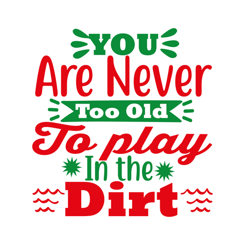 You are never too old to play in the dirt-01 Poster Canvas Movie Film Print A0 A